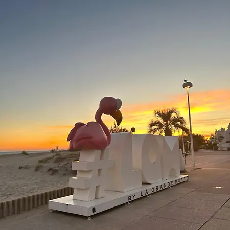 Appartamento Terrasse Brise Marine *